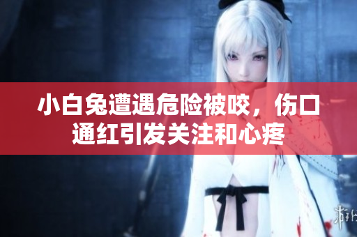 小白兔遭遇危险被咬，伤口通红引发关注和心疼