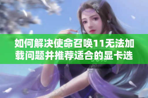 如何解决使命召唤11无法加载问题并推荐适合的显卡选择