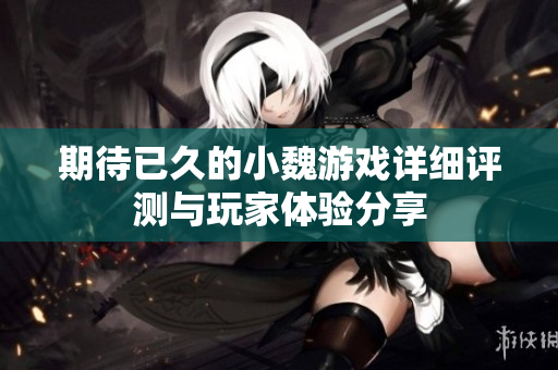 期待已久的小魏游戏详细评测与玩家体验分享