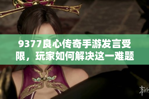 9377良心传奇手游发言受限，玩家如何解决这一难题