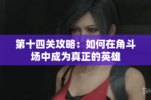 第十四关攻略：如何在角斗场中成为真正的英雄