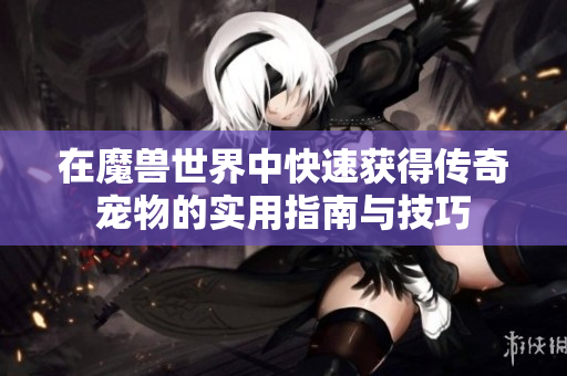 在魔兽世界中快速获得传奇宠物的实用指南与技巧