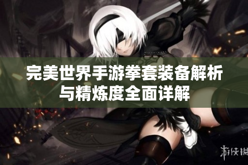 完美世界手游拳套装备解析与精炼度全面详解