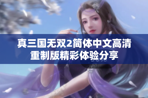 真三国无双2简体中文高清重制版精彩体验分享