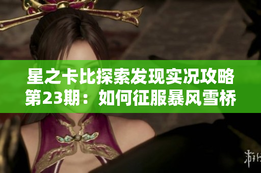 星之卡比探索发现实况攻略第23期：如何征服暴风雪桥梁之战