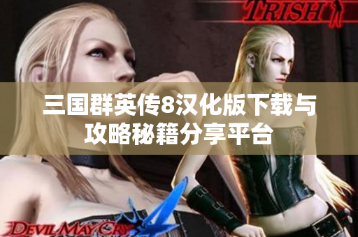 三国群英传8汉化版下载与攻略秘籍分享平台