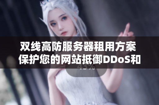 双线高防服务器租用方案 保护您的网站抵御DDoS和CC攻击