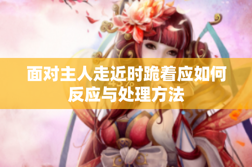 面对主人走近时跪着应如何反应与处理方法