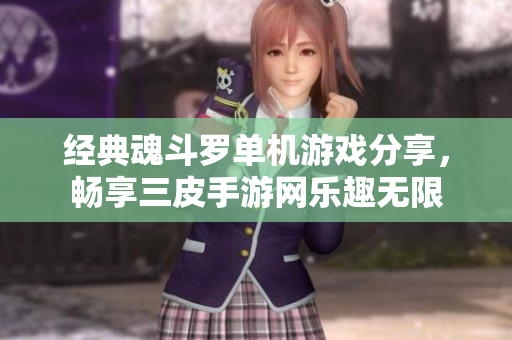 经典魂斗罗单机游戏分享，畅享三皮手游网乐趣无限