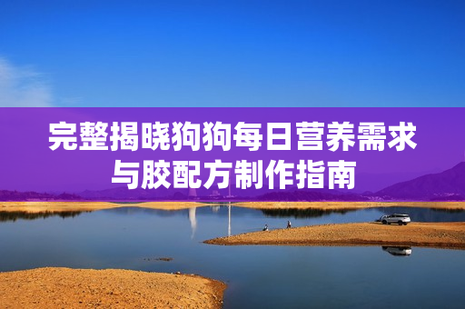 完整揭晓狗狗每日营养需求与胶配方制作指南