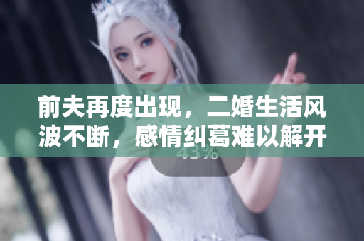 前夫再度出现，二婚生活风波不断，感情纠葛难以解开
