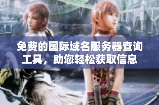 免费的国际域名服务器查询工具，助您轻松获取信息
