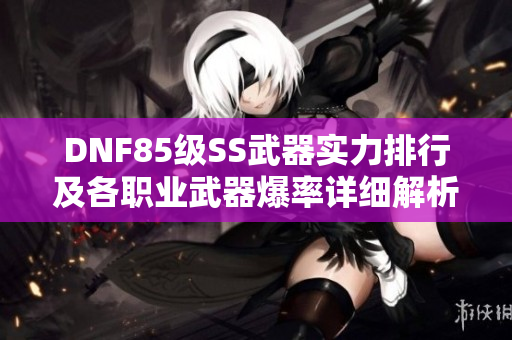 DNF85级SS武器实力排行及各职业武器爆率详细解析