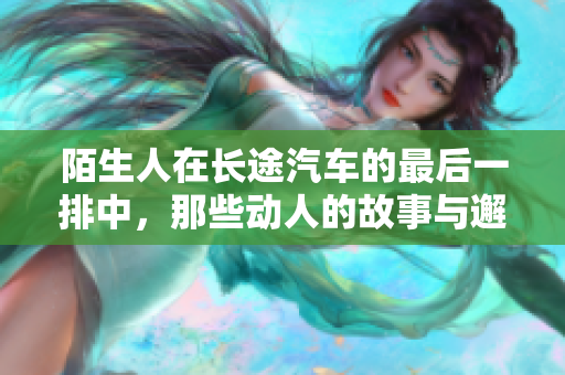 陌生人在长途汽车的最后一排中，那些动人的故事与邂逅