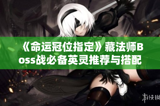 《命运冠位指定》藏法师Boss战必备英灵推荐与搭配攻略