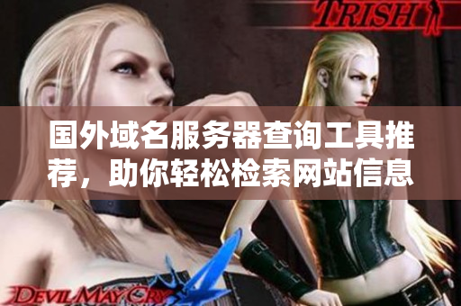 国外域名服务器查询工具推荐，助你轻松检索网站信息