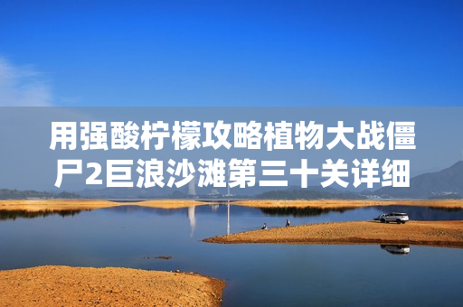 用强酸柠檬攻略植物大战僵尸2巨浪沙滩第三十关详细解析