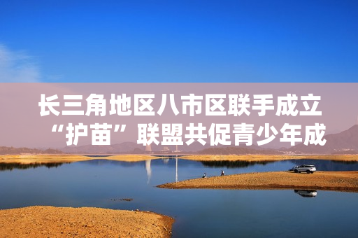 长三角地区八市区联手成立“护苗”联盟共促青少年成长保护