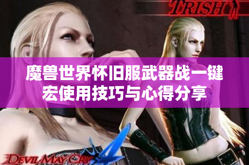 魔兽世界怀旧服武器战一键宏使用技巧与心得分享