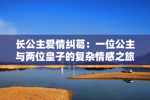 长公主爱情纠葛：一位公主与两位皇子的复杂情感之旅