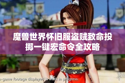 魔兽世界怀旧服盗贼致命投掷一键宏命令全攻略