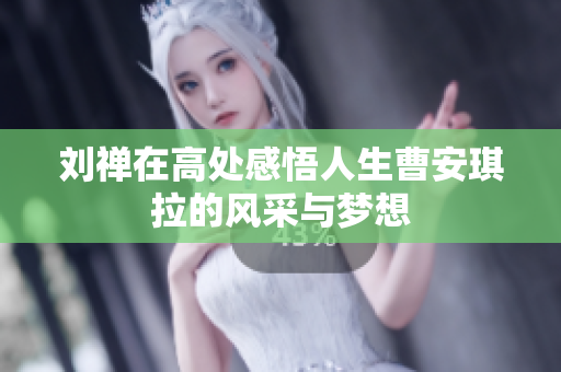 刘禅在高处感悟人生曹安琪拉的风采与梦想