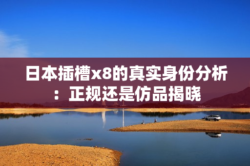 日本插槽x8的真实身份分析：正规还是仿品揭晓