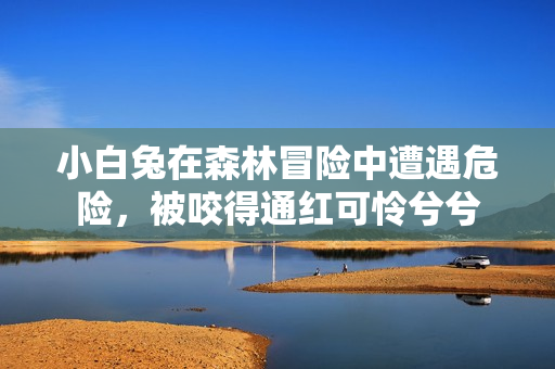 小白兔在森林冒险中遭遇危险，被咬得通红可怜兮兮