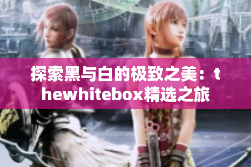 探索黑与白的极致之美：thewhitebox精选之旅