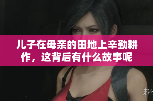 儿子在母亲的田地上辛勤耕作，这背后有什么故事呢