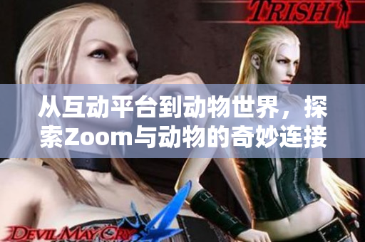 从互动平台到动物世界，探索Zoom与动物的奇妙连接