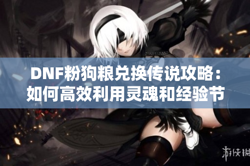 DNF粉狗粮兑换传说攻略：如何高效利用灵魂和经验节省技巧