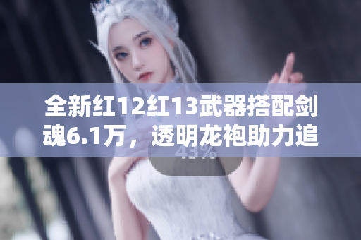 全新红12红13武器搭配剑魂6.1万，透明龙袍助力追忆天3加红10男气功旅