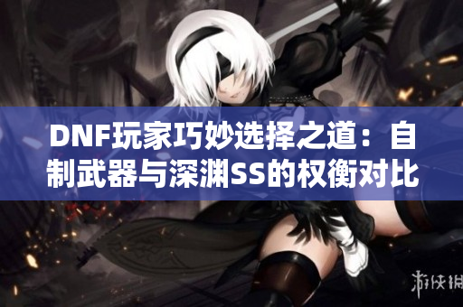 DNF玩家巧妙选择之道：自制武器与深渊SS的权衡对比分析