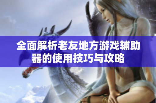 全面解析老友地方游戏辅助器的使用技巧与攻略