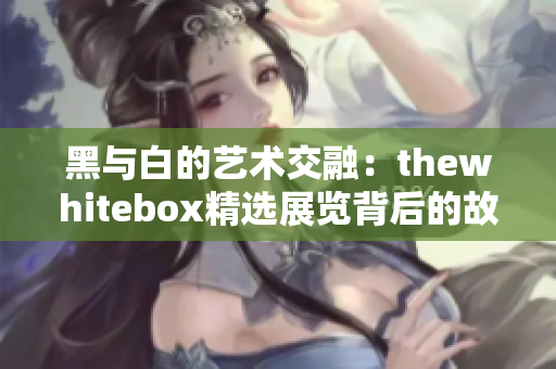 黑与白的艺术交融：thewhitebox精选展览背后的故事