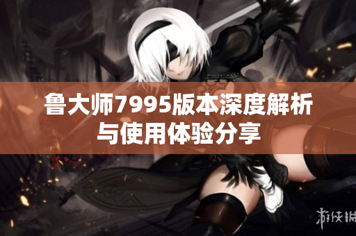 鲁大师7995版本深度解析与使用体验分享