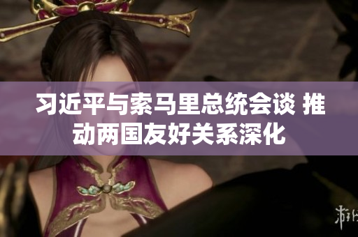 习近平与索马里总统会谈 推动两国友好关系深化