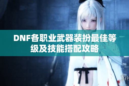 DNF各职业武器装扮最佳等级及技能搭配攻略