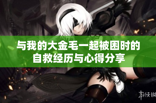 与我的大金毛一起被困时的自救经历与心得分享