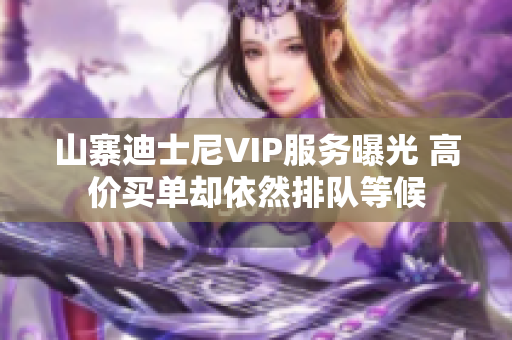 山寨迪士尼VIP服务曝光 高价买单却依然排队等候