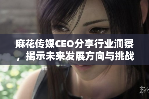麻花传媒CEO分享行业洞察，揭示未来发展方向与挑战