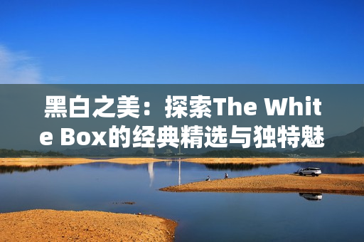 黑白之美：探索The White Box的经典精选与独特魅力
