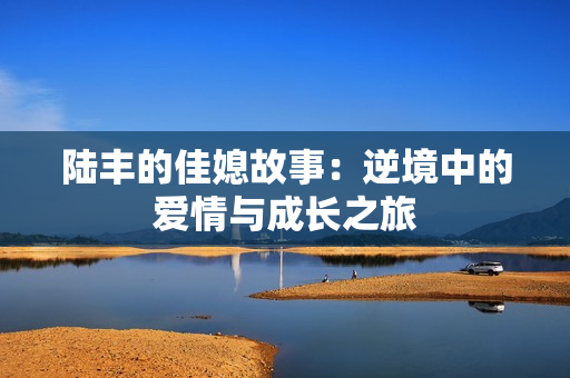 陆丰的佳媳故事：逆境中的爱情与成长之旅