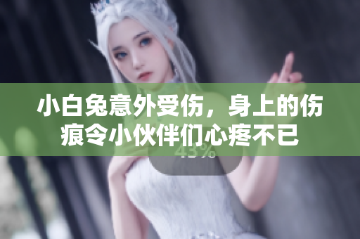 小白兔意外受伤，身上的伤痕令小伙伴们心疼不已