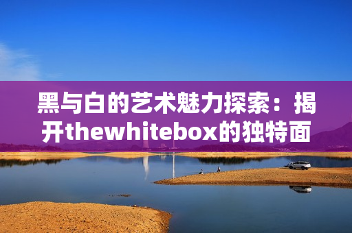 黑与白的艺术魅力探索：揭开thewhitebox的独特面纱