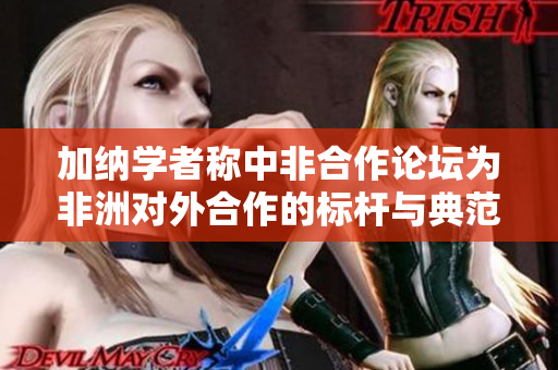 加纳学者称中非合作论坛为非洲对外合作的标杆与典范