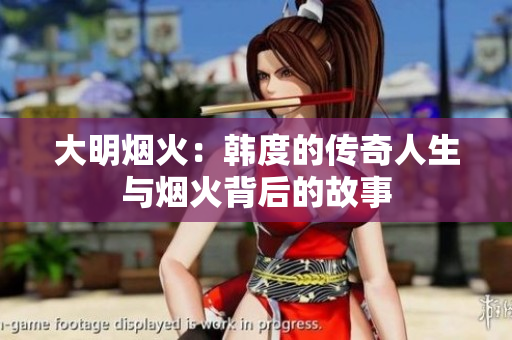 大明烟火：韩度的传奇人生与烟火背后的故事