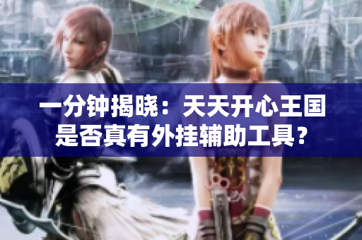 一分钟揭晓：天天开心王国是否真有外挂辅助工具？