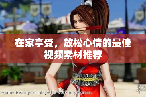 在家享受，放松心情的最佳视频素材推荐